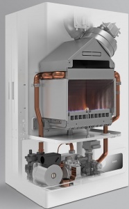 Eon-5